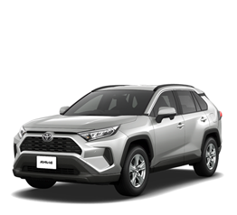 RAV4 ('19.4~)