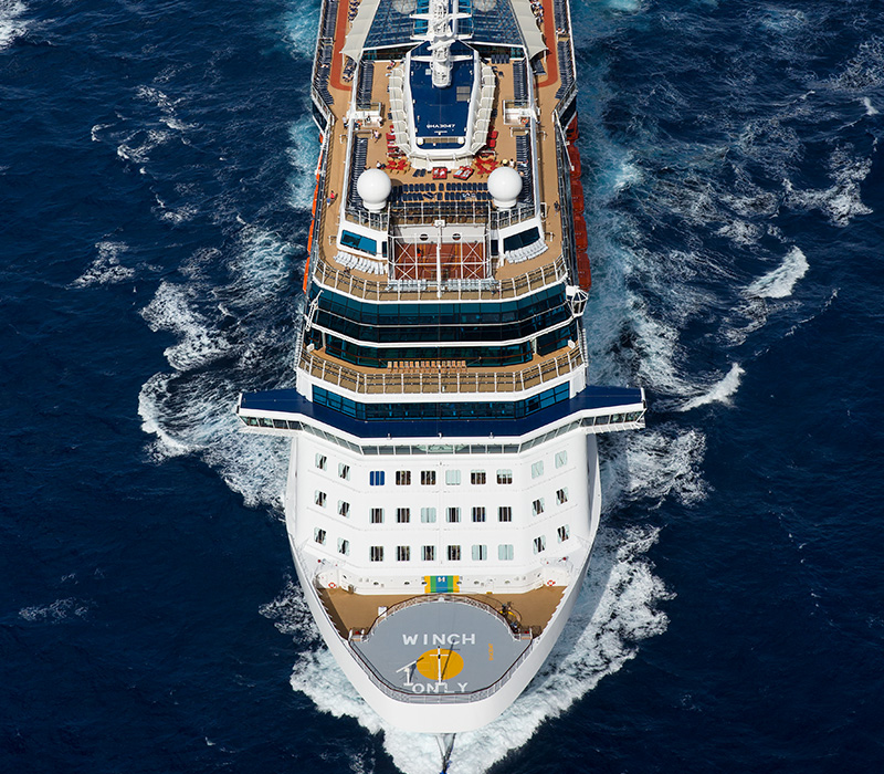 Celebrity Reflection