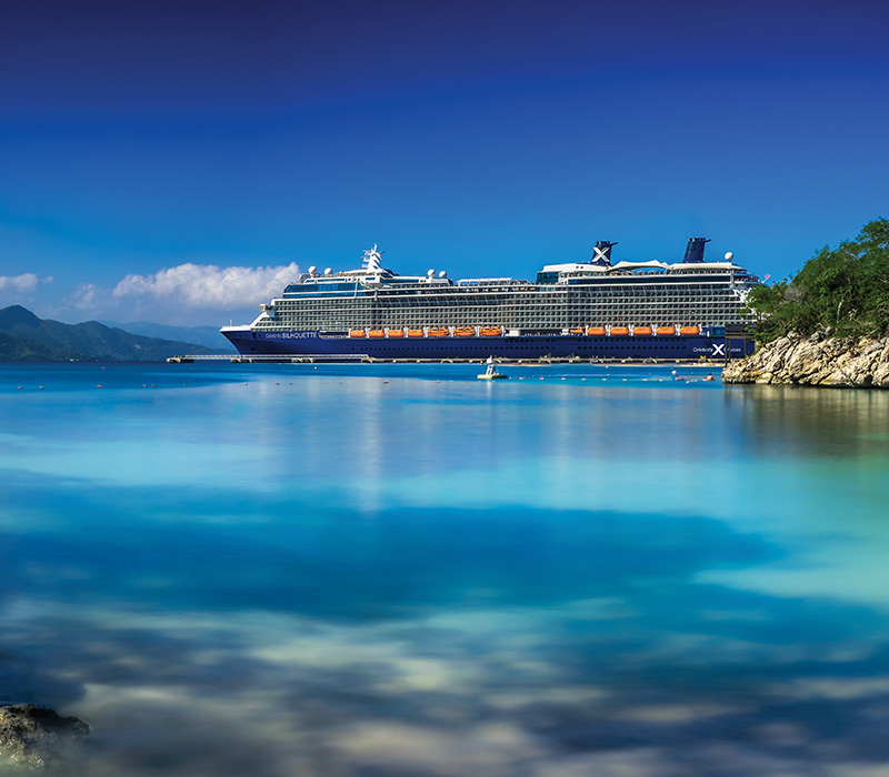 Celebrity Silhouette