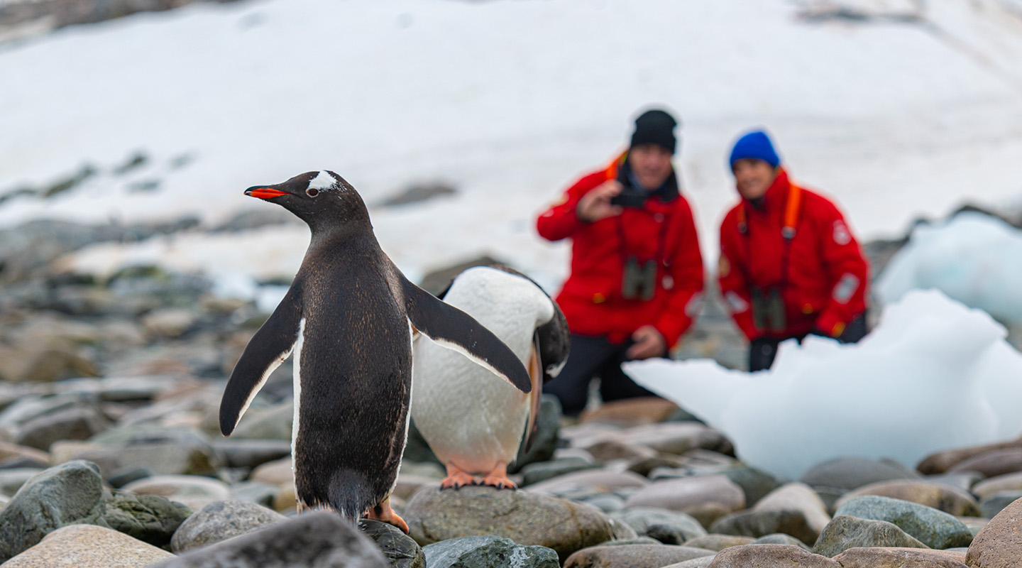 成人限定 維京為18歲以上成人限定的遊輪 , 專心打造北歐風格溫暖的極地旅遊體驗 ! 