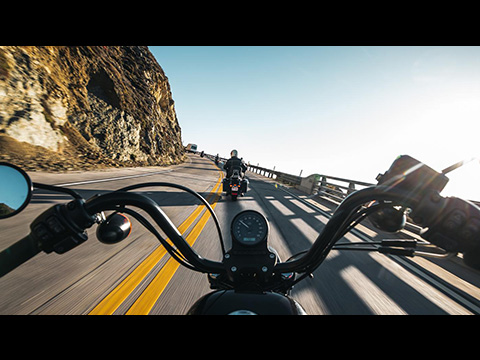 Blues, Bule Ridge, BBQ Guided Tour